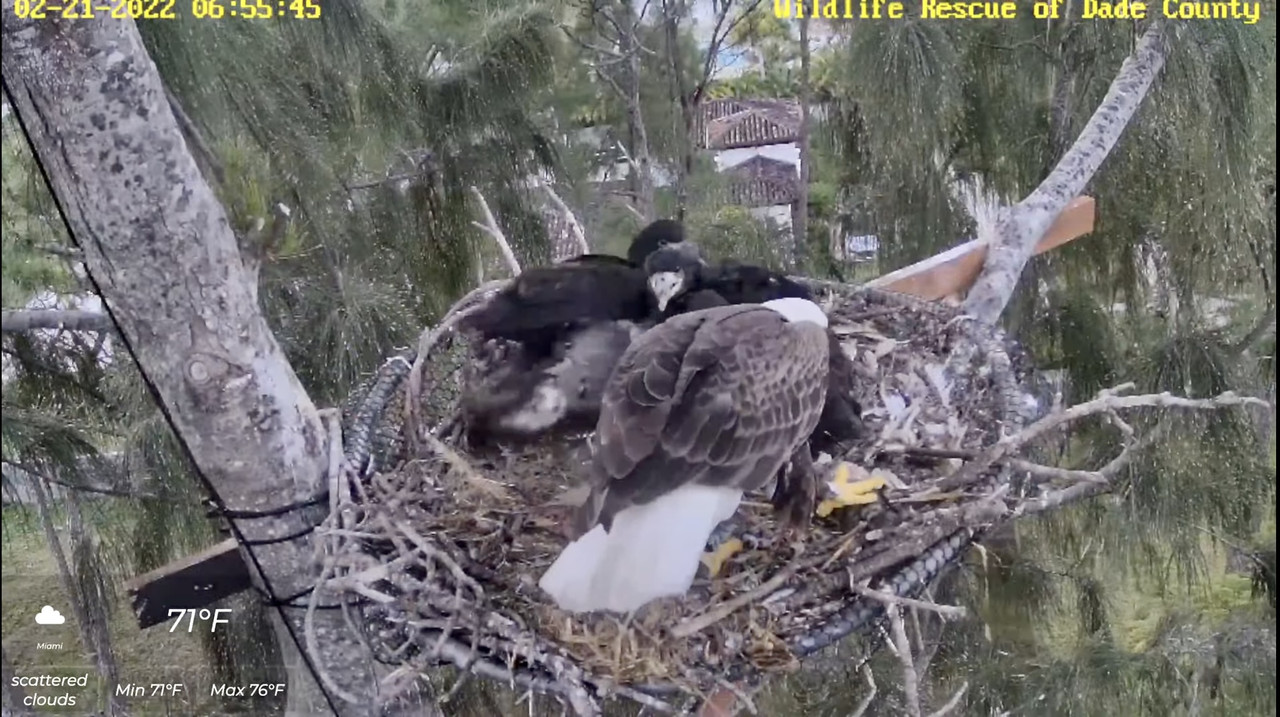 A24BF394-9B2D-4D19-9DB9-EB925759D683