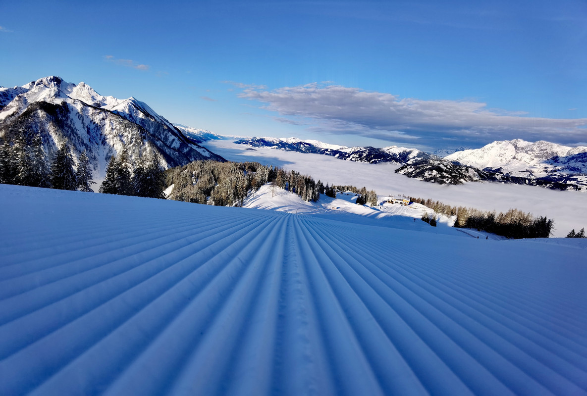 IMG_20220204_085002_edit_759306485276326