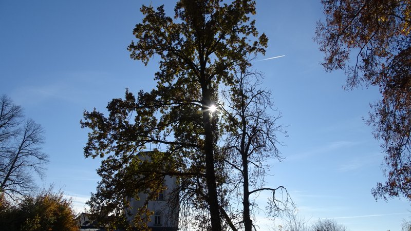 [Image: DSC03963.jpg]