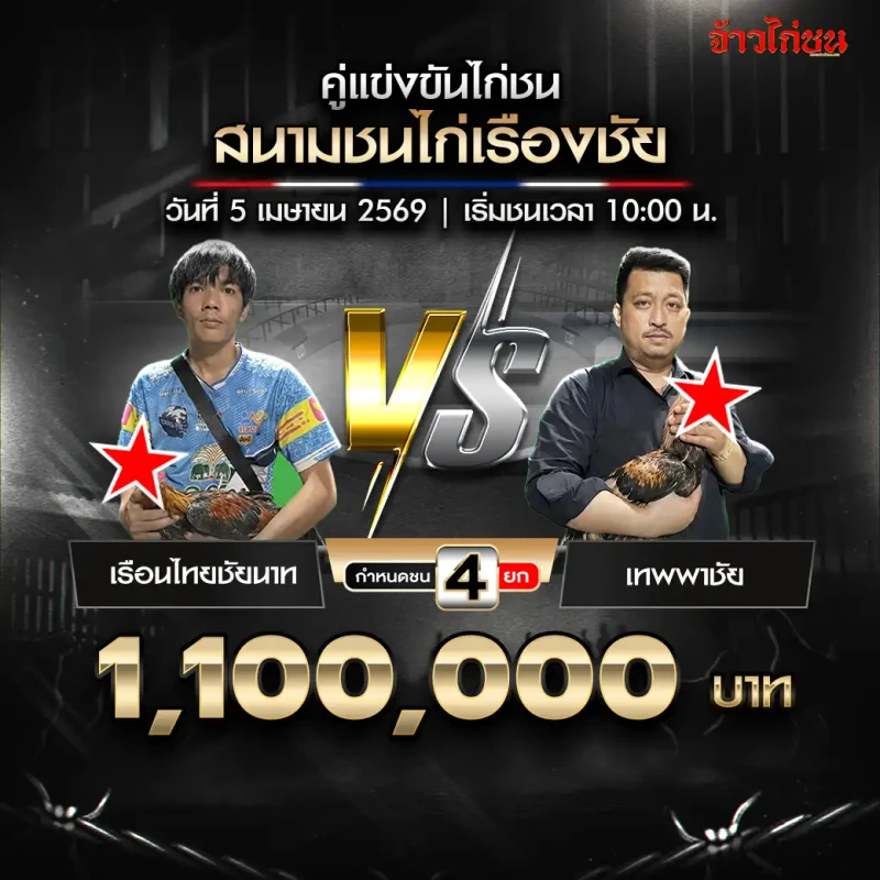 โปรแกรมไก่ชน คู่ เรือนไทยชัยนาท vs เทพพาชัย สนามชนไก่เรืองชัย