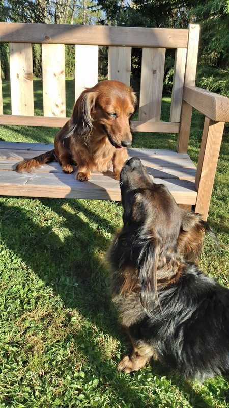 [Image: 20250331-181417.jpg]