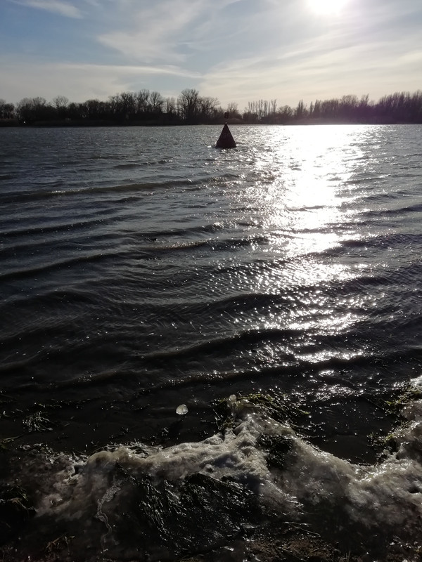 Img 20221202 095014 Postimages