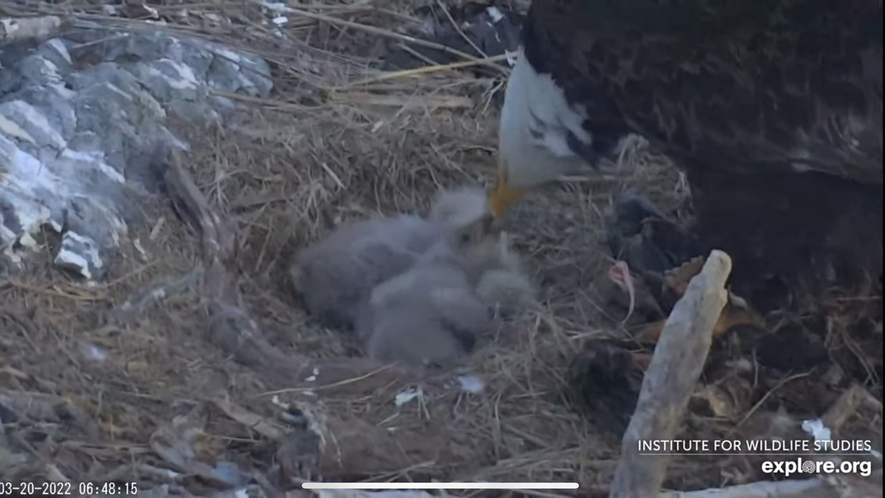 D7F40577-529B-4AE6-9E6C-A0E176CA2748