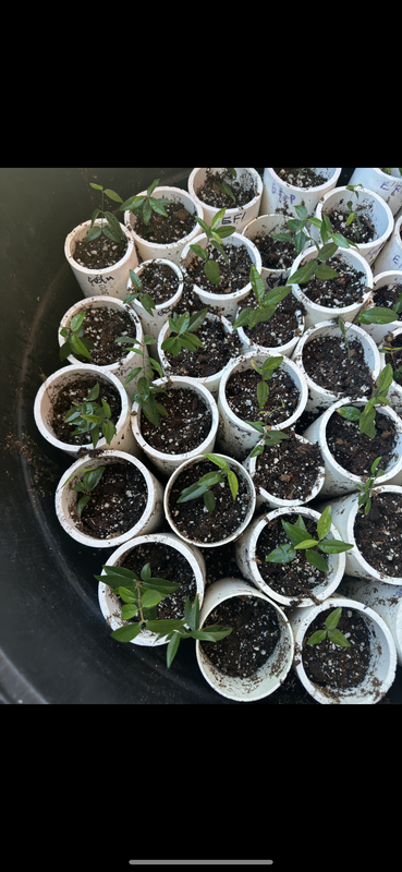 08FDFB8D-33C1-4459-8DBF-CF542C3895FA