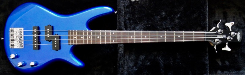 Jackson Minion Bass DSC08547
