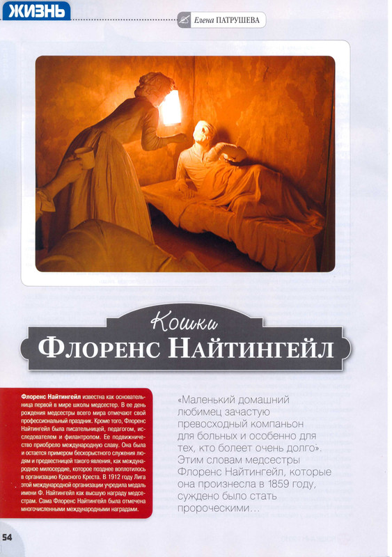 Мой друг кошка № 11 2010-56
