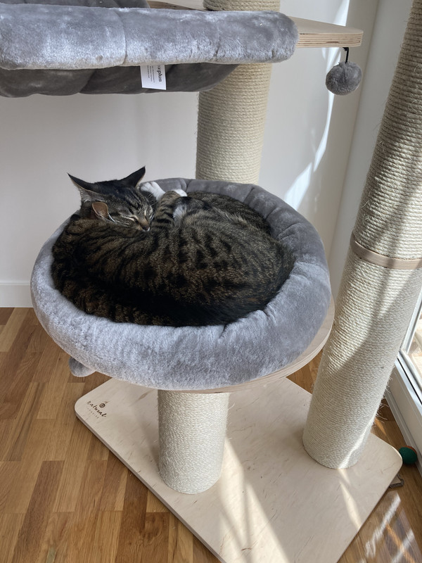 66615B4E-3EFA-45CC-82A3-2DA9AA3BC3B2