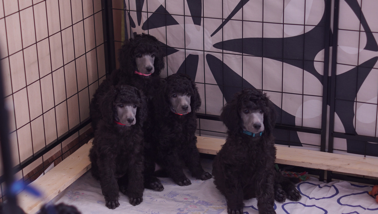 02004665-97F6-4248-B6F0-EF6641355A73