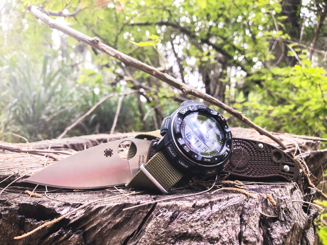 D3C65280-0F98-461D-93FF-21CB4C316EE0