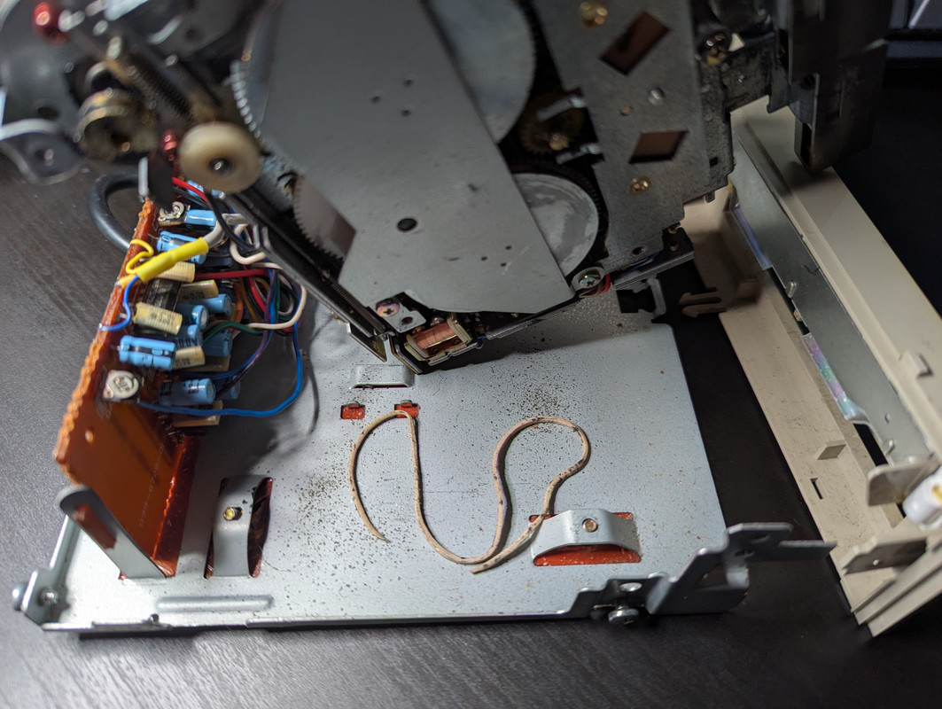 PXL_20250804_070019780