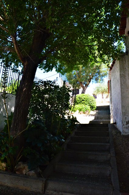 Madrid y sus pueblos-2000/2022 - Blogs of Spain - OLMEDA DE LAS FUENTES-5-6-2020 (22)