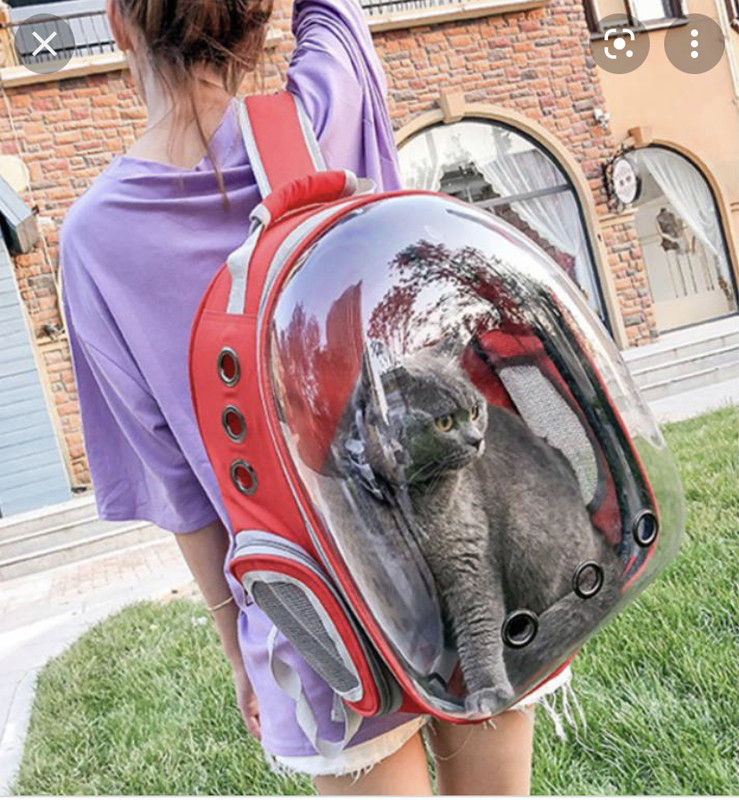 3E56EC3C-DD90-405D-B142-BBBDCDF479A0