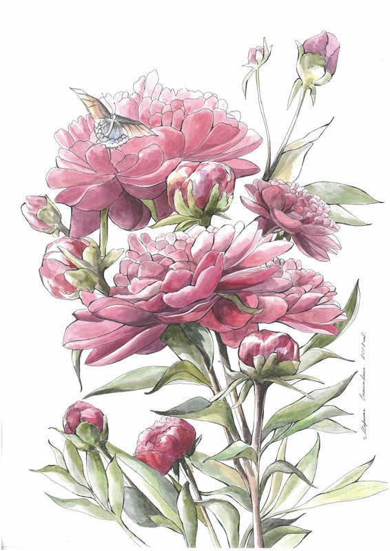 792BEF93-7C2A-4EF6-B6DA-E5A71E8F4D99