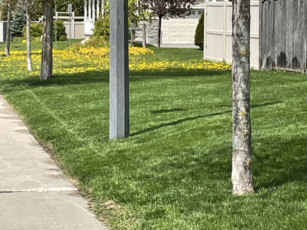 C95BBB6B-A541-4CEA-B5D2-FC982B991304