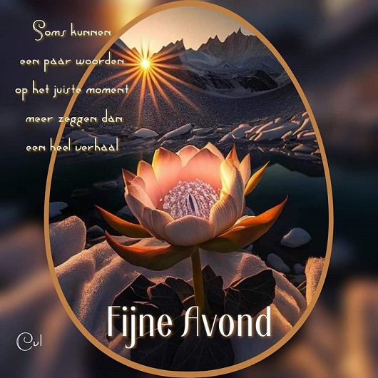Fijne-Avond.jpg