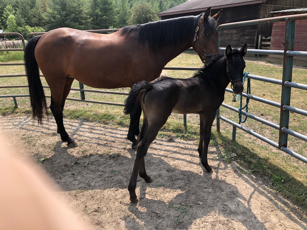 7ABD5C06-8ED1-4BDA-B73E-2829FB6A3CBC