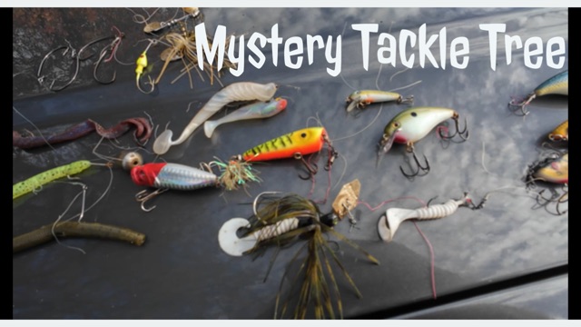 688-BE51-B-0781-4741-8-A63-C442-BFC41922