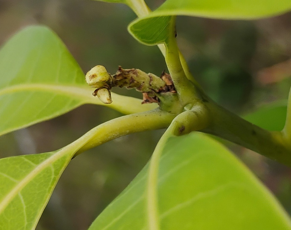 IMG_20250310_164622416~2