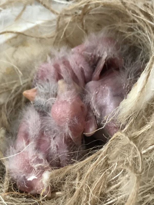 9Day6
