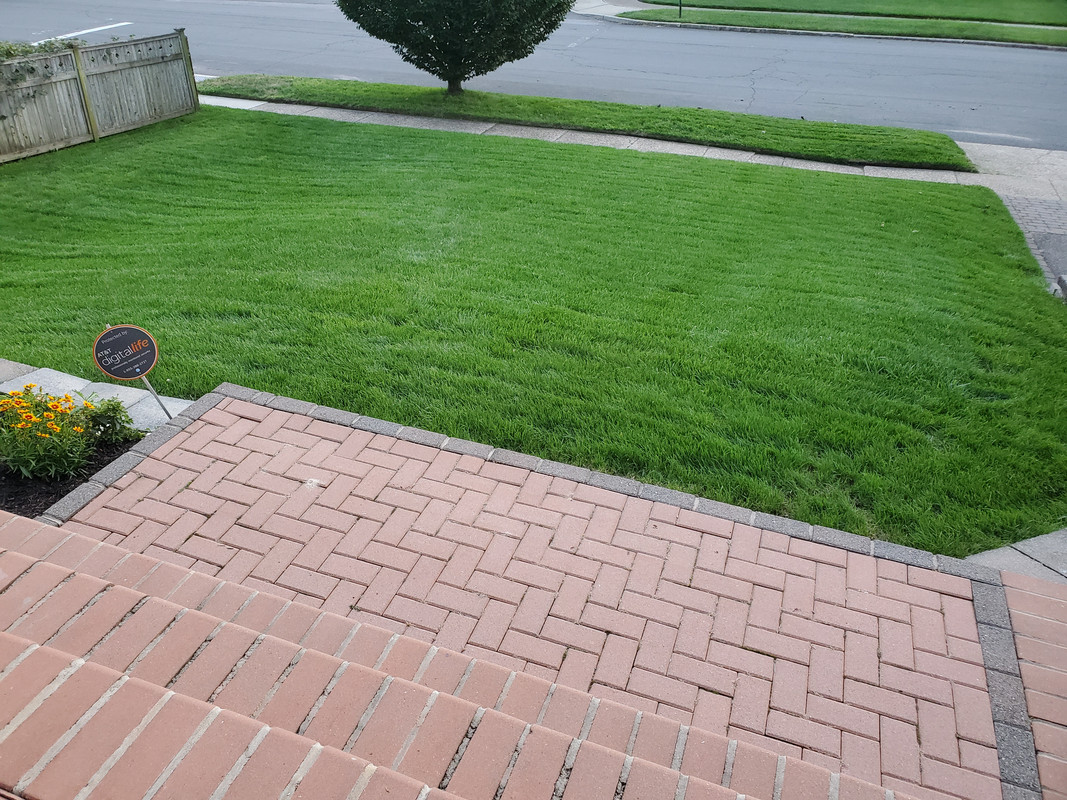 4th millenium and traverse 2 overseed | Lawn Care Forum
