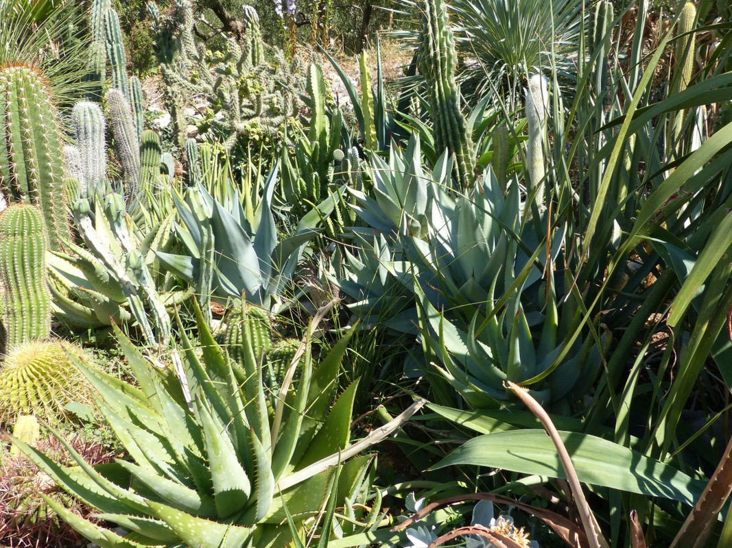 P1240212
