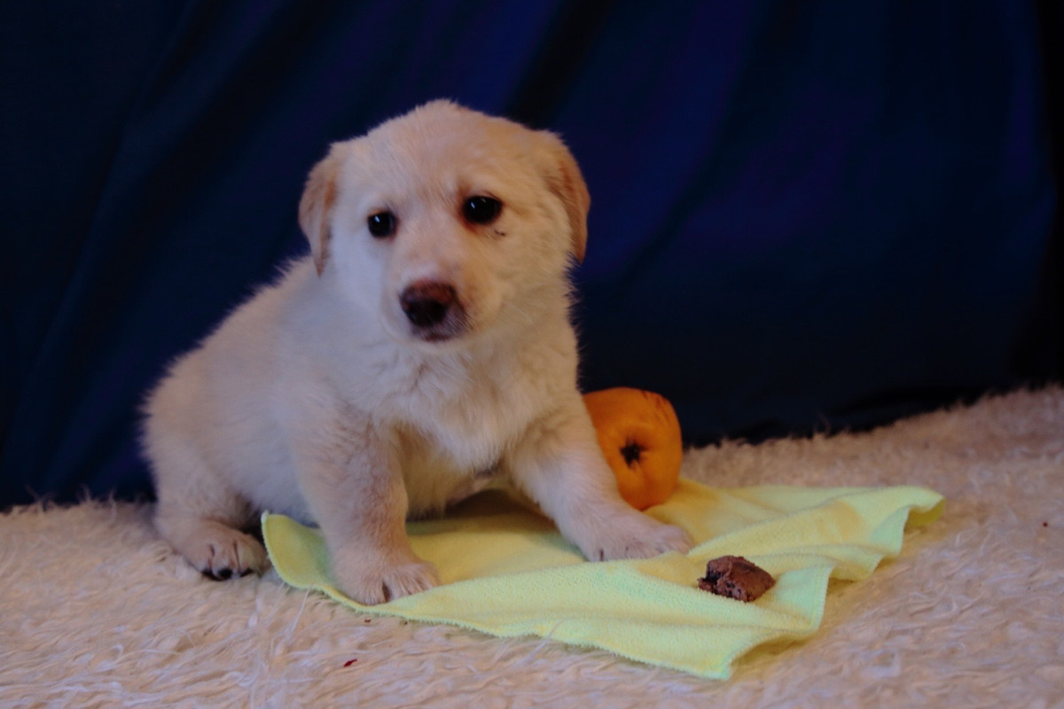 940CBA48-FEFA-47FB-B3BE-303F3F371B96