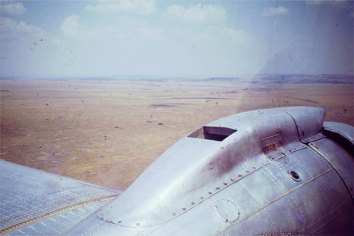 51a.jpg