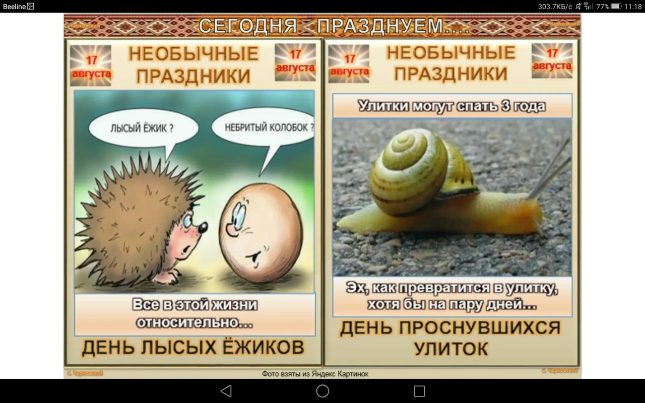 Screenshot_2023-08-17-11-18-28
