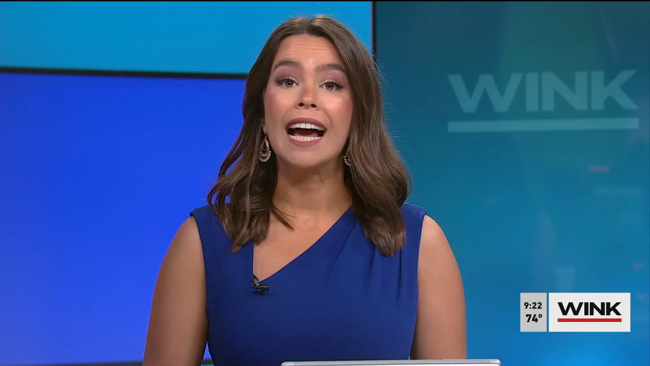 WINK News at 9 00 a.m. 2022_03_05_14_00_00.ts_snapshot_00.25.59.338