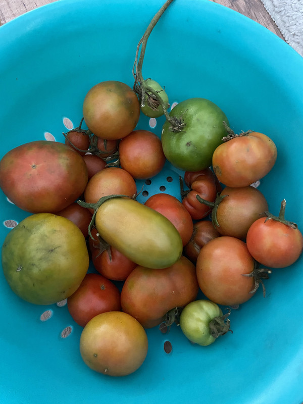 7E0509A2-ECF8-4FF2-A42C-B11B6E3349E4