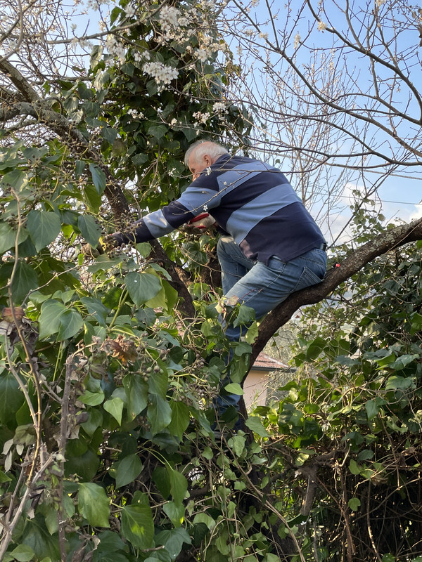 02430AE8-E77C-4044-BA2E-BB8E684948EC