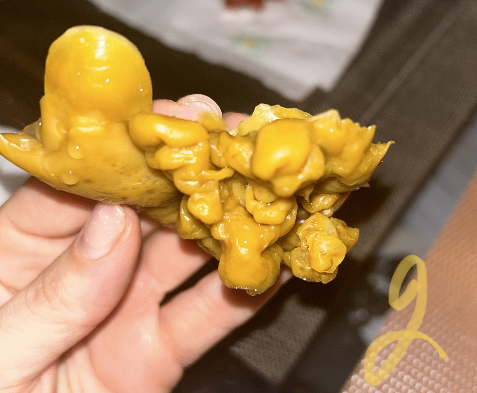 2F7D3B70-01D8-40E6-ABE9-D994139BEE96