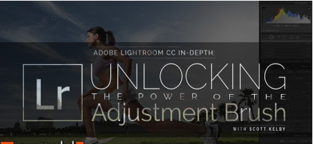 Adobe Lightroom Classic In-Depth: Unlocking the Power of the Adjustment Brush