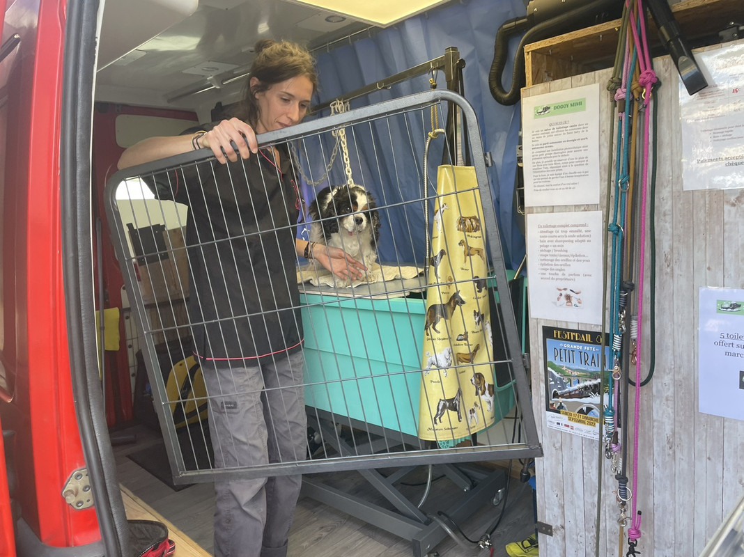 6104E3C5-F332-4FD3-926C-CDEC13F8E291