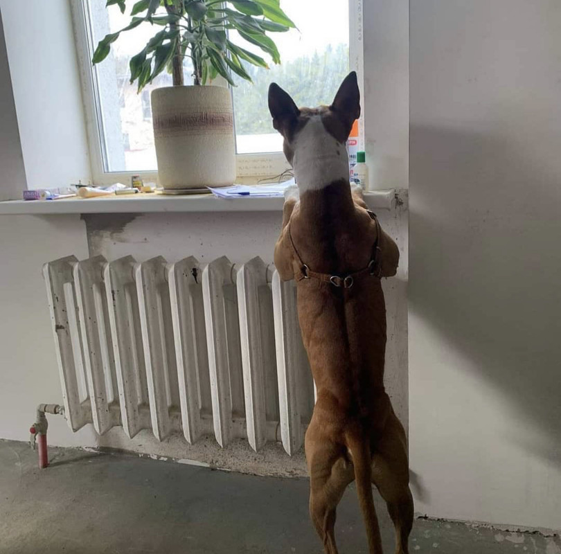 5DF3C27D-E2CA-49C4-878A-26F6F69425B4