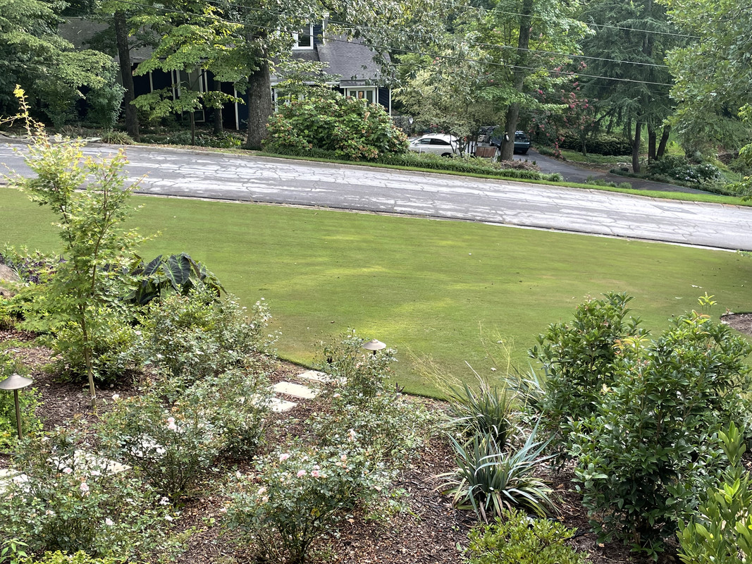 D4CF6691-B79D-4F13-82EE-DF7EDBAE1C61