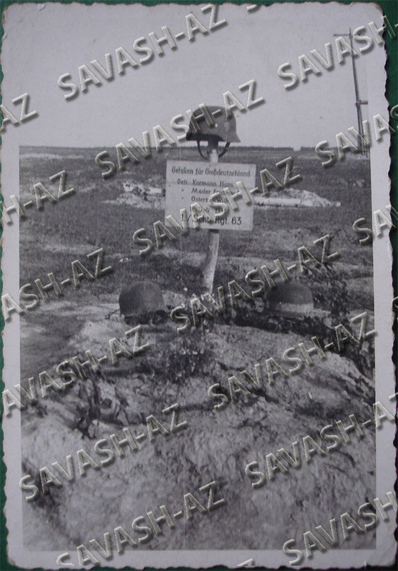 Y1-1