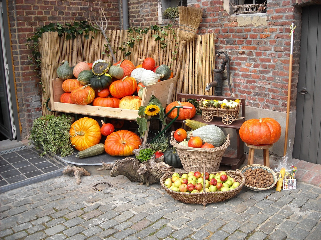 multi-fruits-new.jpg