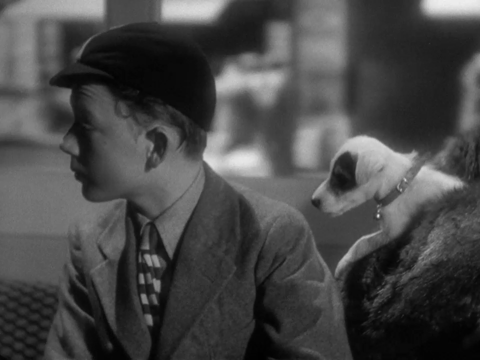 vlcsnap-2023-07-30-16h56m56s455