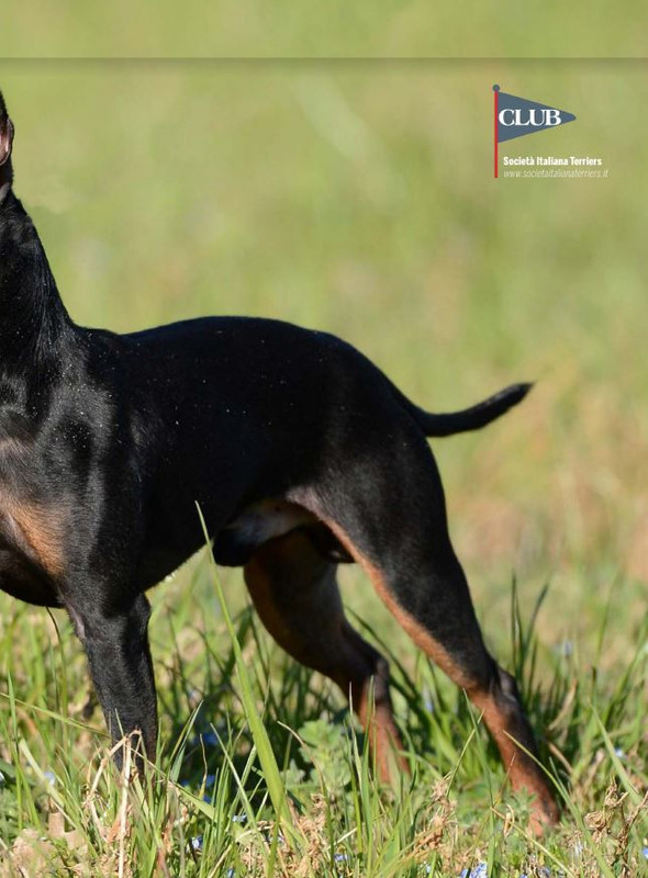 Il M C Mag 2022 (10)