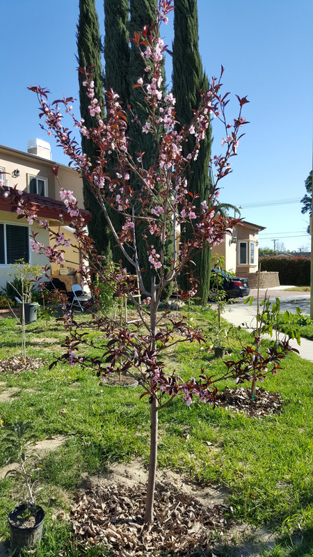 20170303_090750