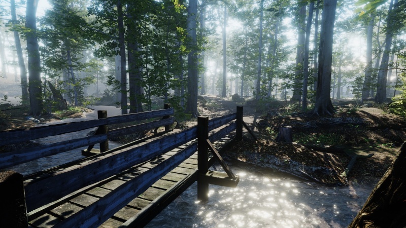 The House in the Forest (2020)