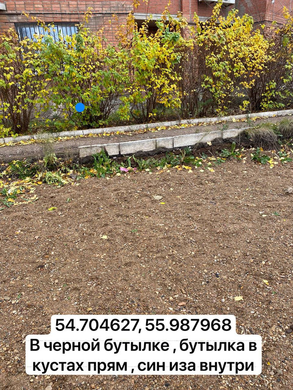 photo 2025 11 03 08 21 19