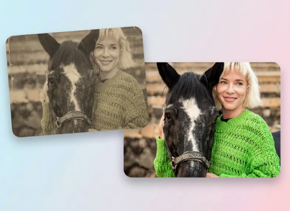 https://pepecards.store/ 
