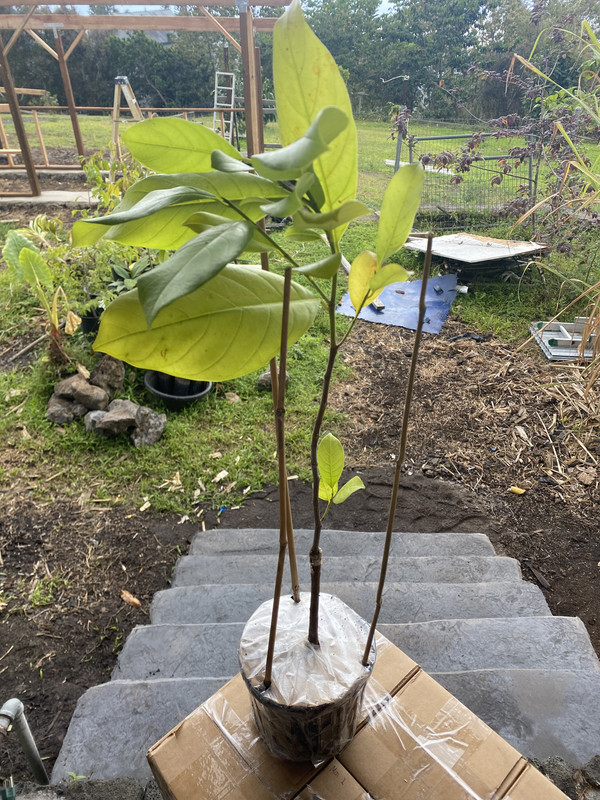 225A27A5-84EF-4697-9FF6-3F2FCFF53456