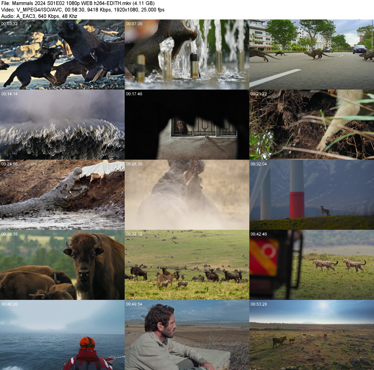 [Image: asqg83e5wuq3.jpg]