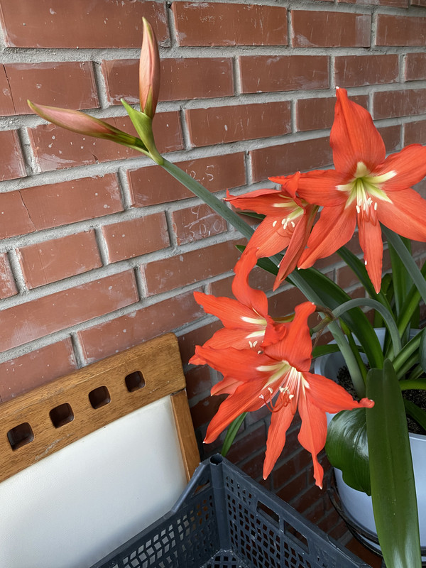 F1E550F7-B3E2-4105-A930-1A080EA62D37