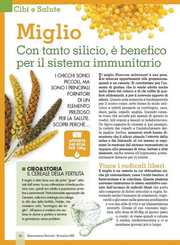 Alim Nat Nov 2022 (5)