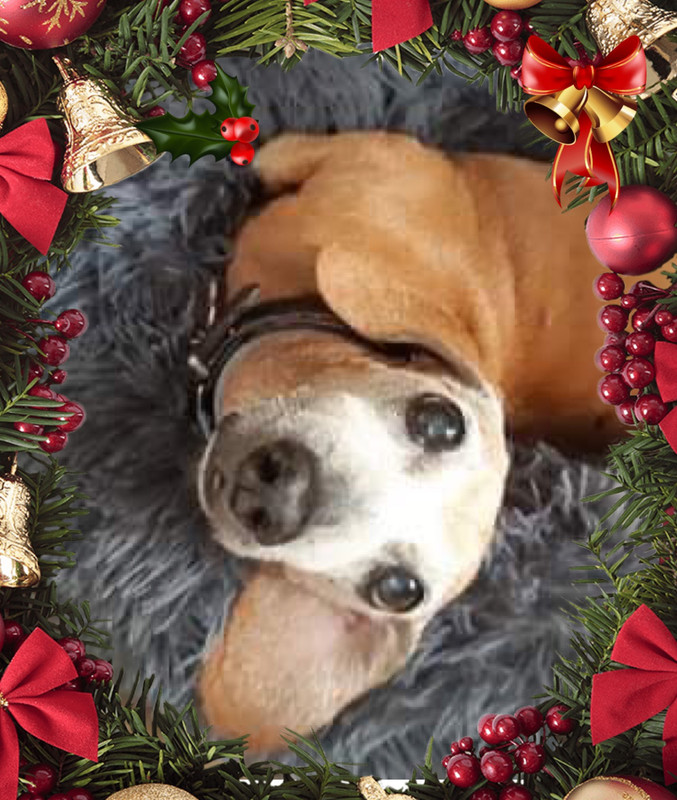 [Image: B9-DE4-F06-929-D-4-FAD-B0-EB-AEE8050-A6-EAA.jpg]