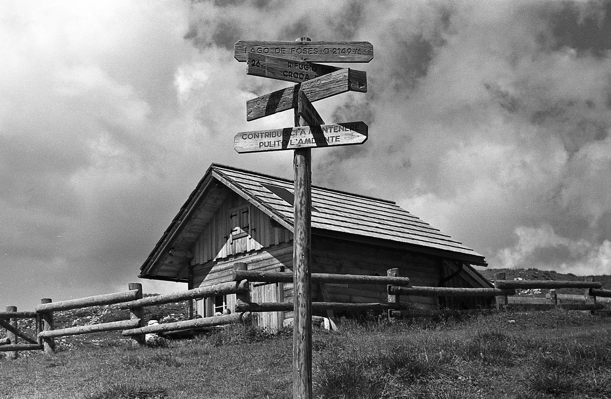 200AviphotThornton022